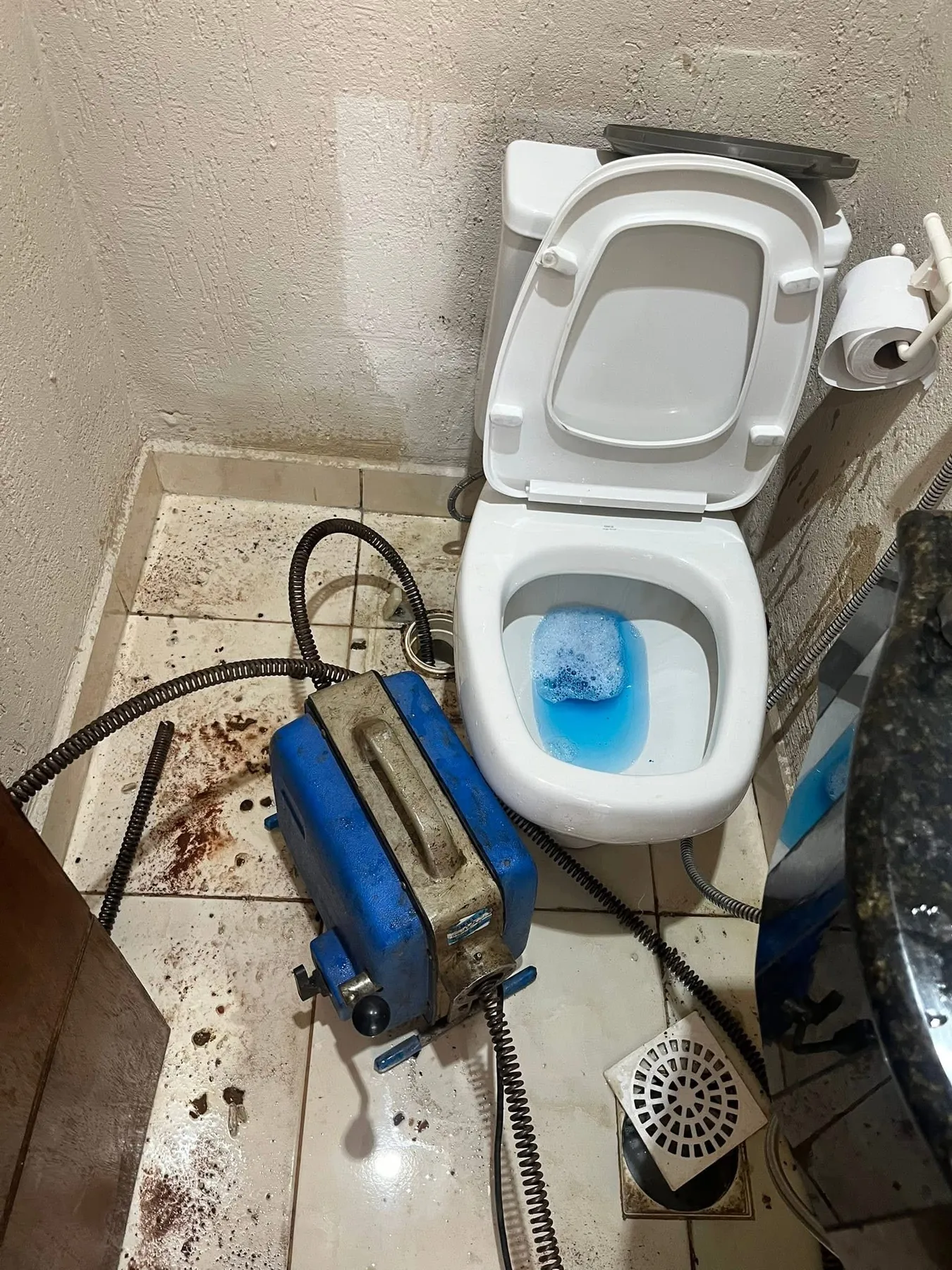 Trabajo de destranque de inodoro